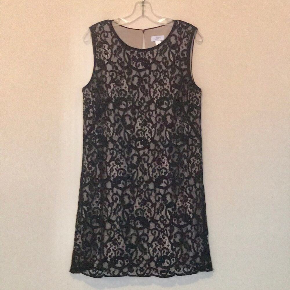 LOFT Lace Dress